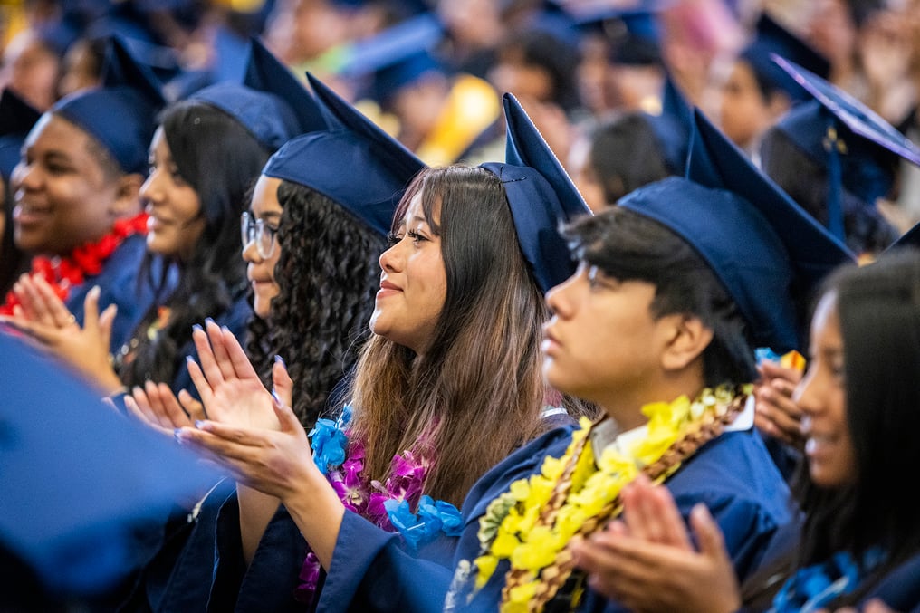 PLN_GRAD_131 copy