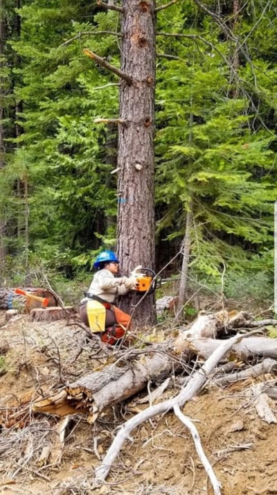 Yadira Chavez working Chainsaw